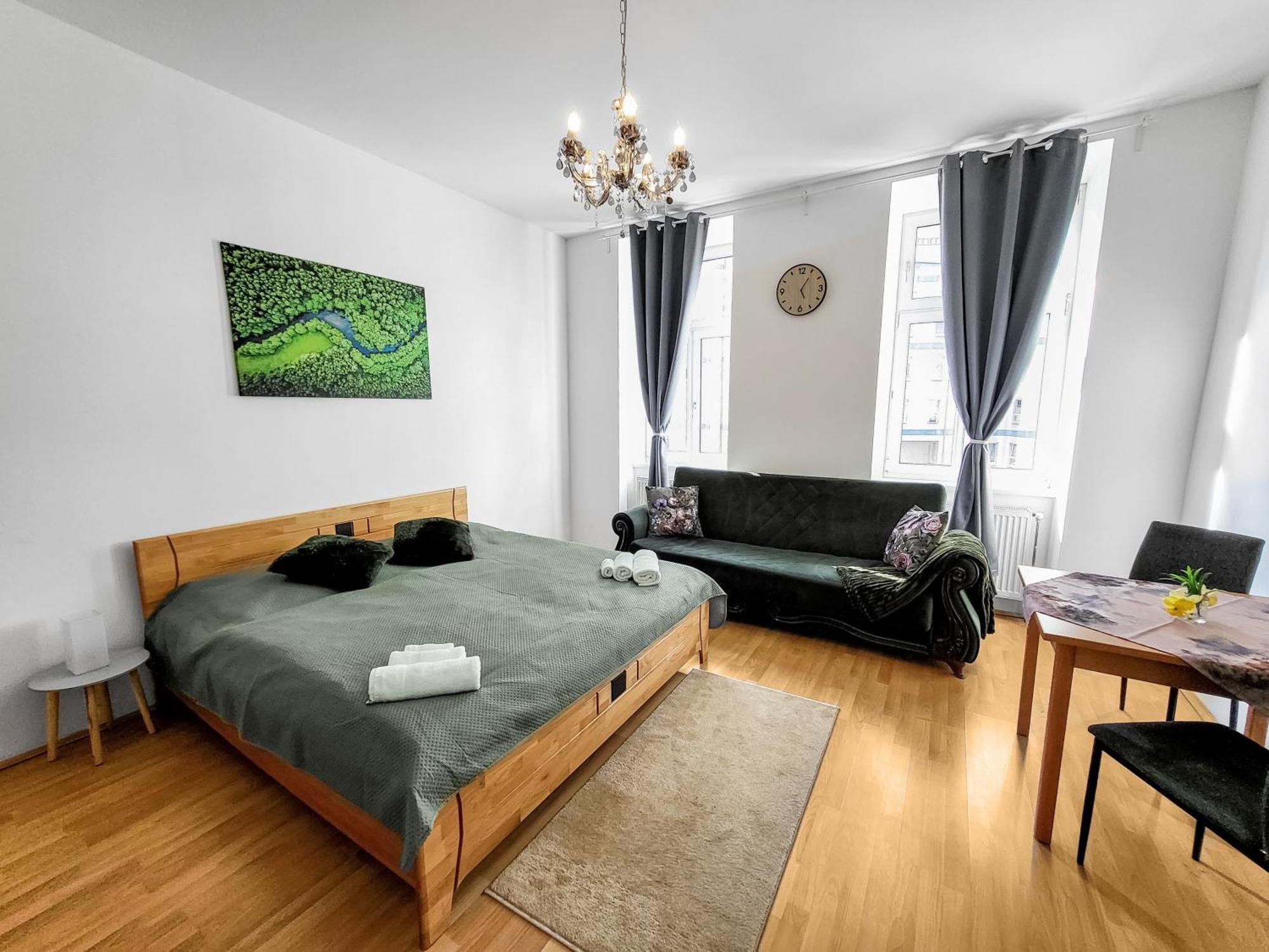 Davidov Stays Danube Wien Phòng bức ảnh